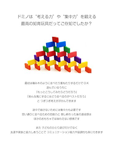 いろいろドミノDX 2