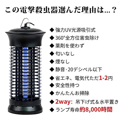 21年 コバエ取りのおすすめ人気ランキング15選 Mybest