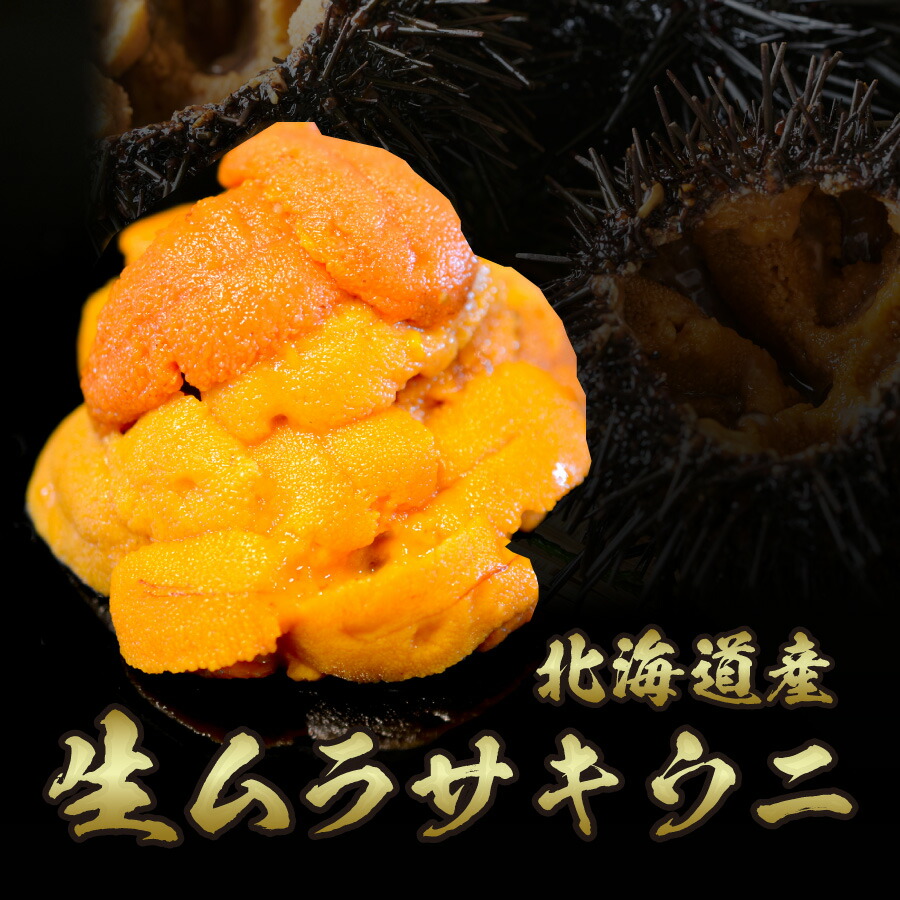 北海道産塩水ムラサキウニ 2
