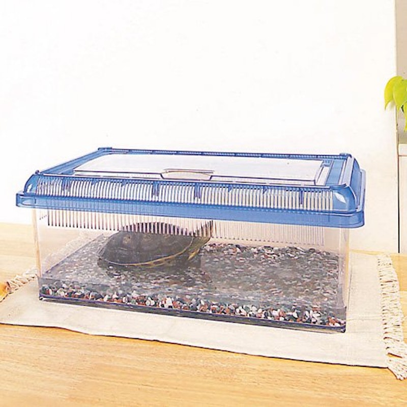 クリアビュー飼育ケース 浅型 2