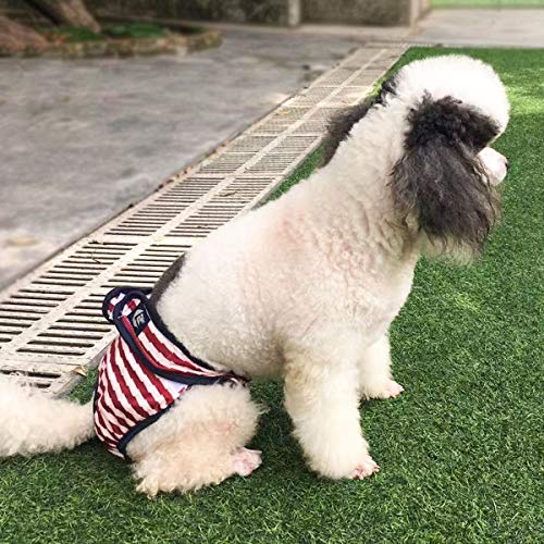 22年 犬用サニタリーパンツのおすすめ人気ランキング3選 Mybest