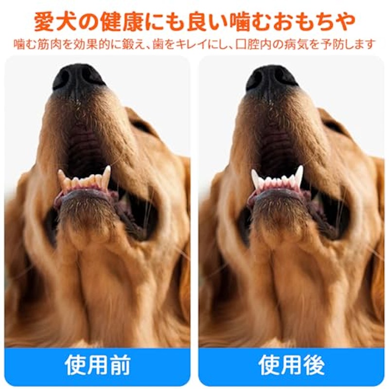 音が鳴るボール 5