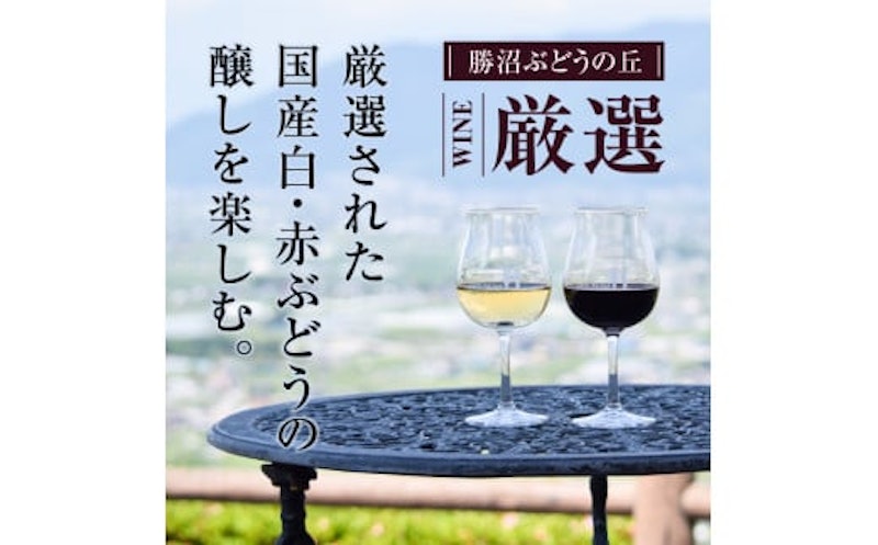 勝沼ぶどうの丘推奨ワイン 白赤セット 3