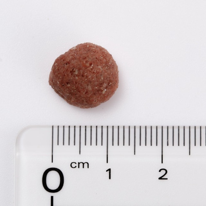 K1jabjfr1cqigm K1jabjfr1cqigm