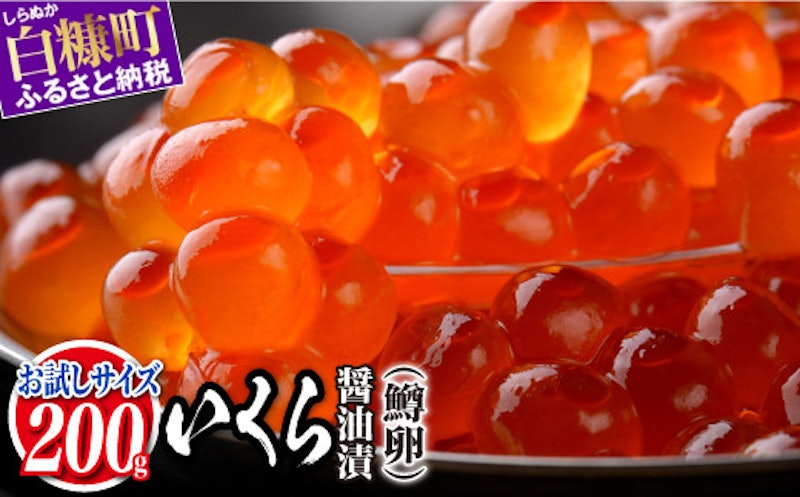 いくら醤油漬 鱒卵 お試し 1