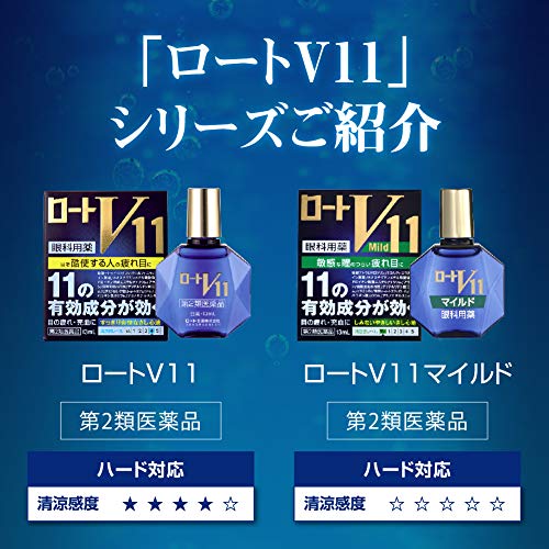 ロートV11  6