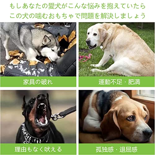 犬用骨型おもちゃ 5