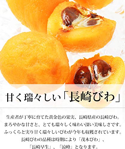 長崎びわ 露地栽培 3
