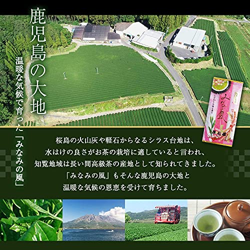 みなみの風 2