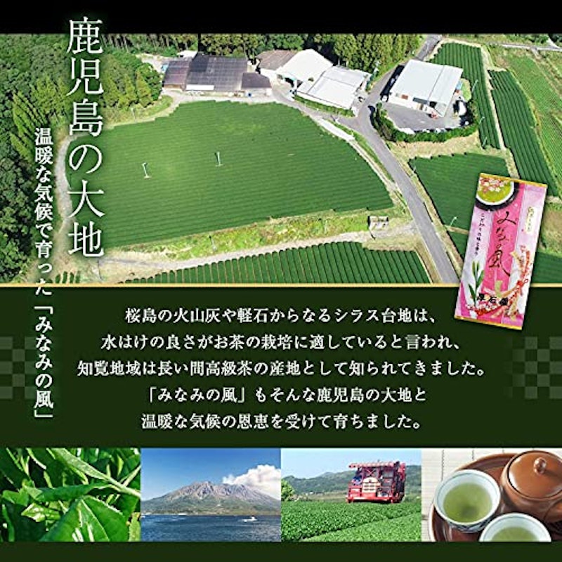 みなみの風 2