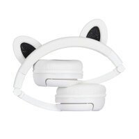 PlayEars+ BEAR with BEAM MIC 3