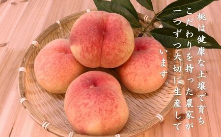 山梨県産 朝採れ桃 3
