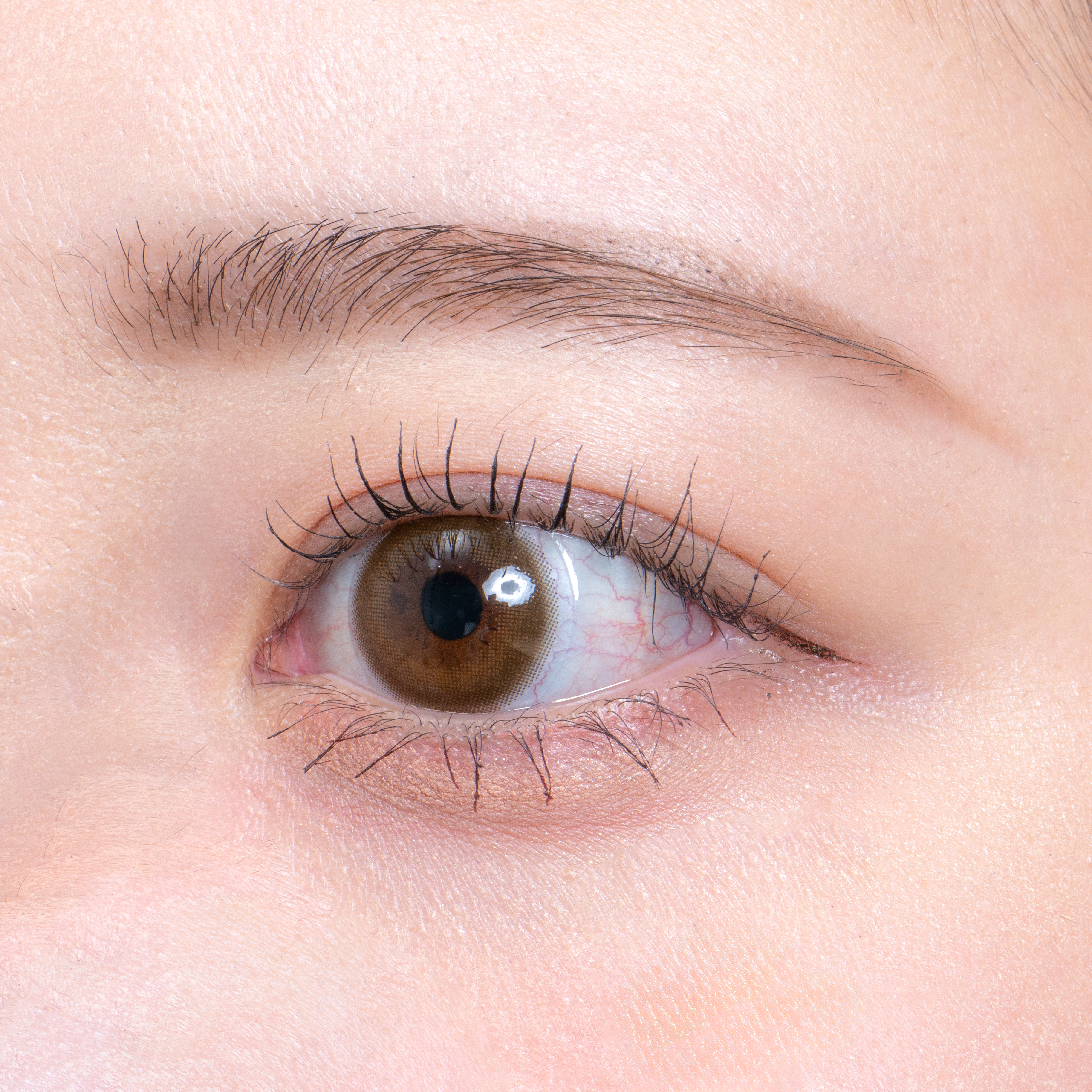 水玉模様ちゃん　KATE デザイニングアイブロウ3D EX-5 EX-4 水玉模様ちゃん KATE デザイニングアイブロウ3D EX-5 EX-4 ケイト