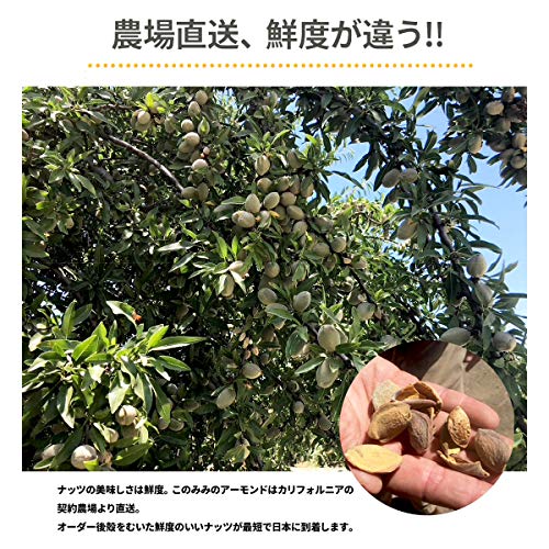素焼き 無添加 アーモンド 7