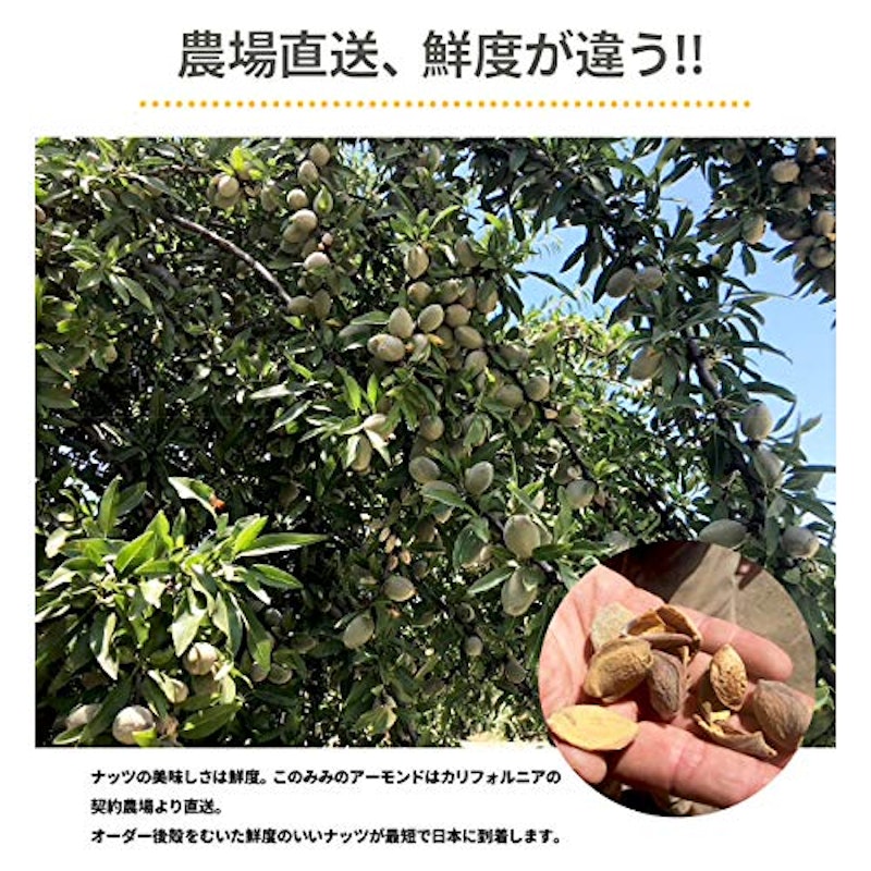 素焼き 無添加 アーモンド 7