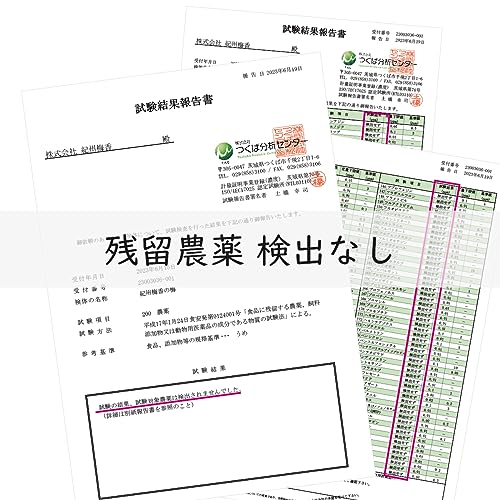 紀州南高梅 訳あり梅 4