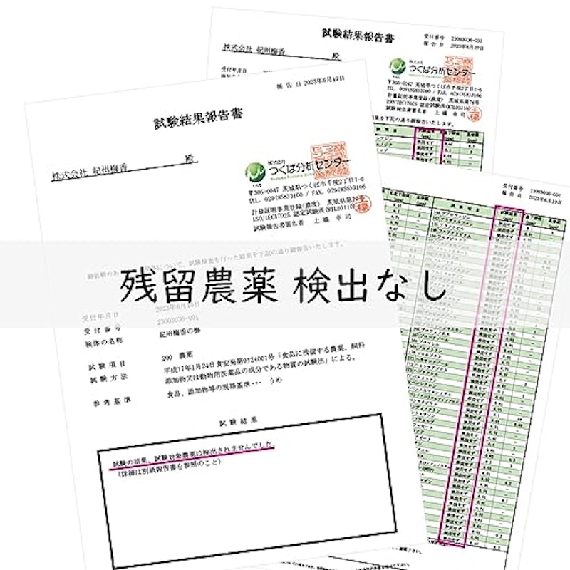 紀州南高梅 訳あり梅 4