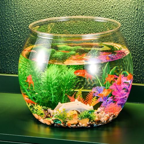 金魚鉢 4