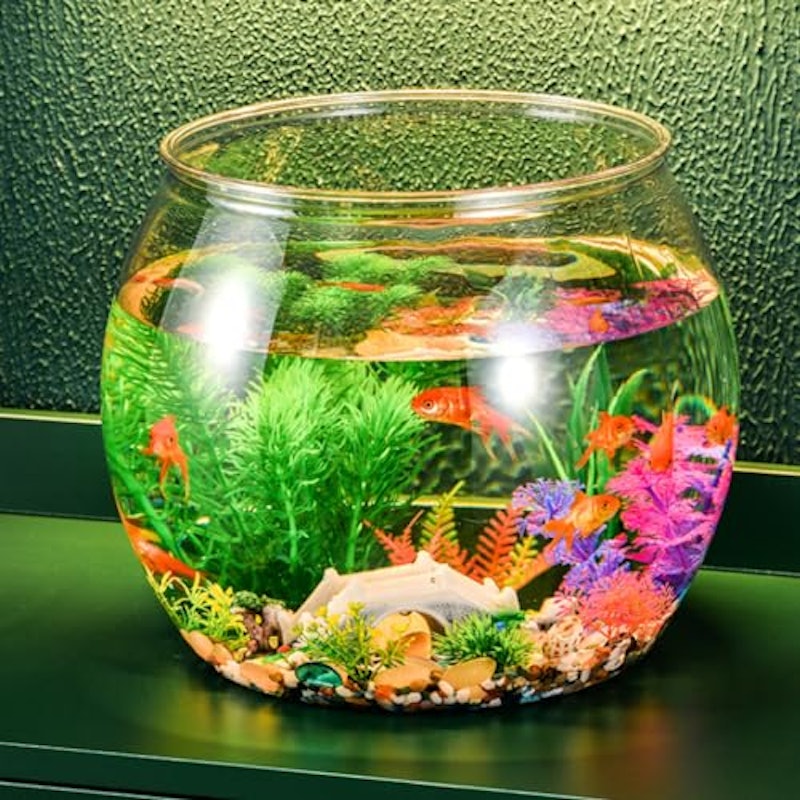 金魚鉢 4