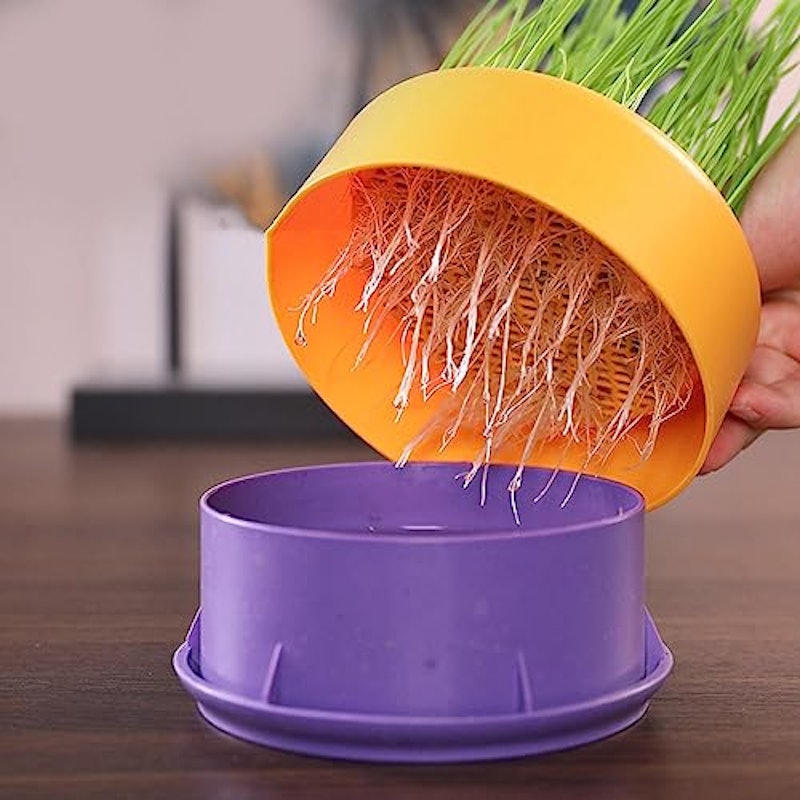 猫草栽培キット 3