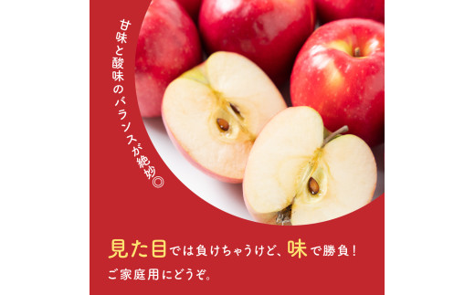 訳あり りんご サンふじ 2