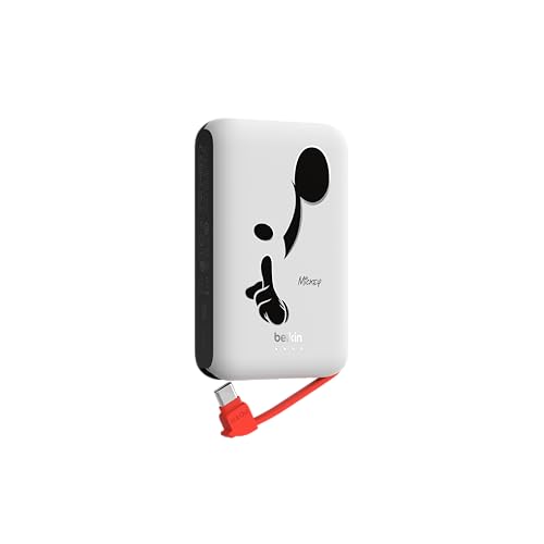 Power Bank 1