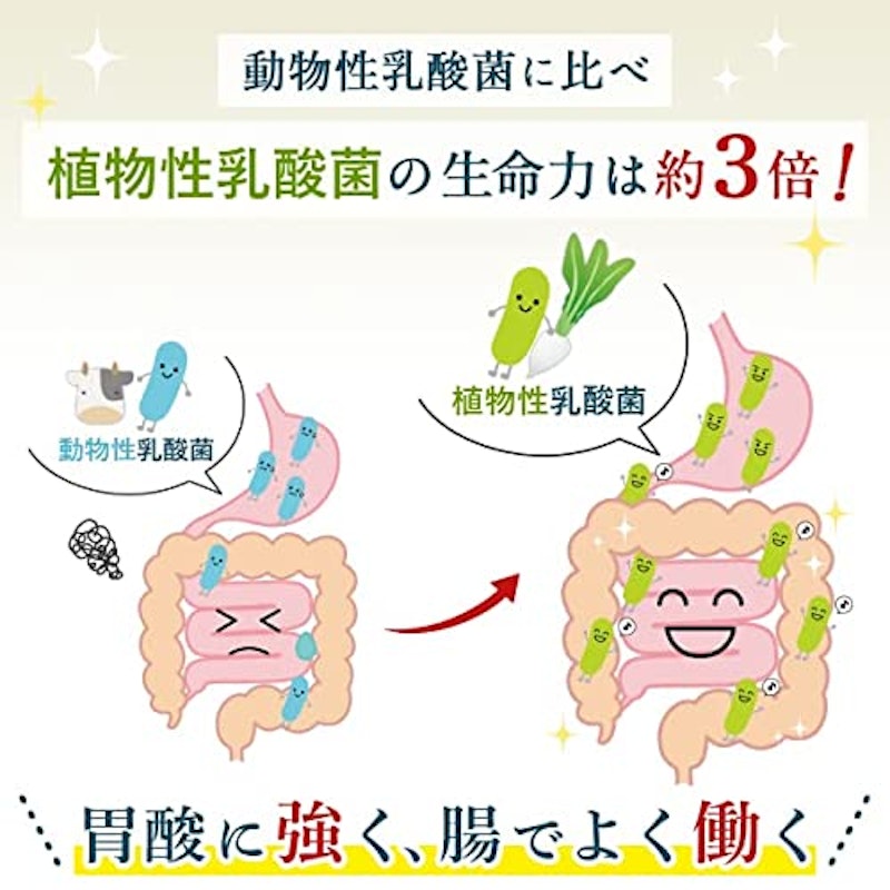 すぐきヨーグルト 5