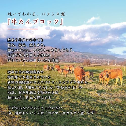 牛たん ブロック 1本 3