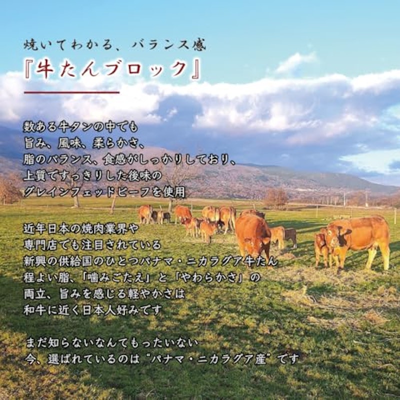 牛たん ブロック 1本 3