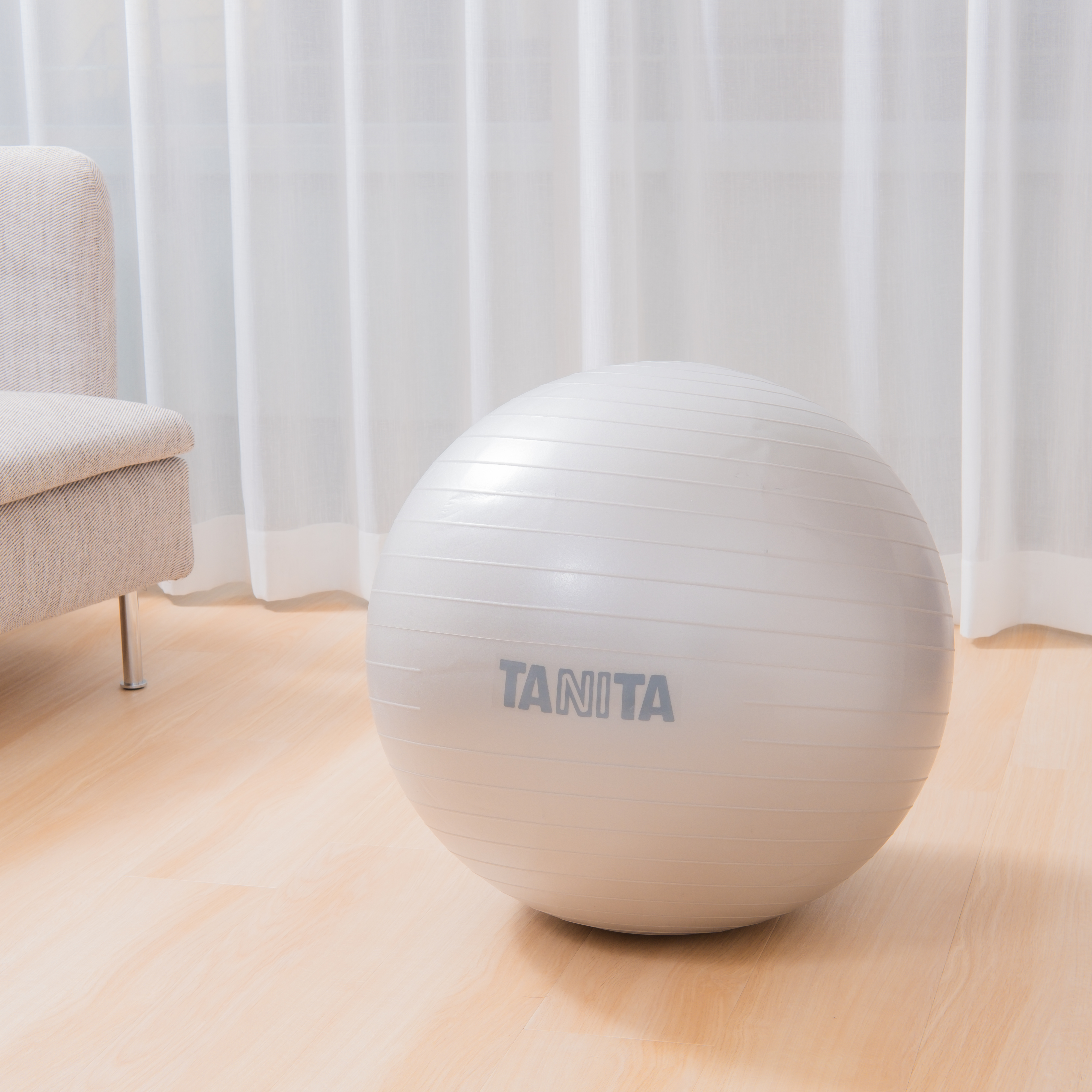 タニタサイズ ジムボール Ts 962を全18商品と比較 口コミや評判を実際に使ってレビューしました Mybest