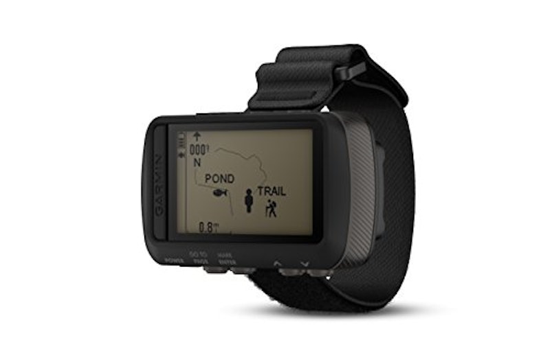 Foretrex 601 2
