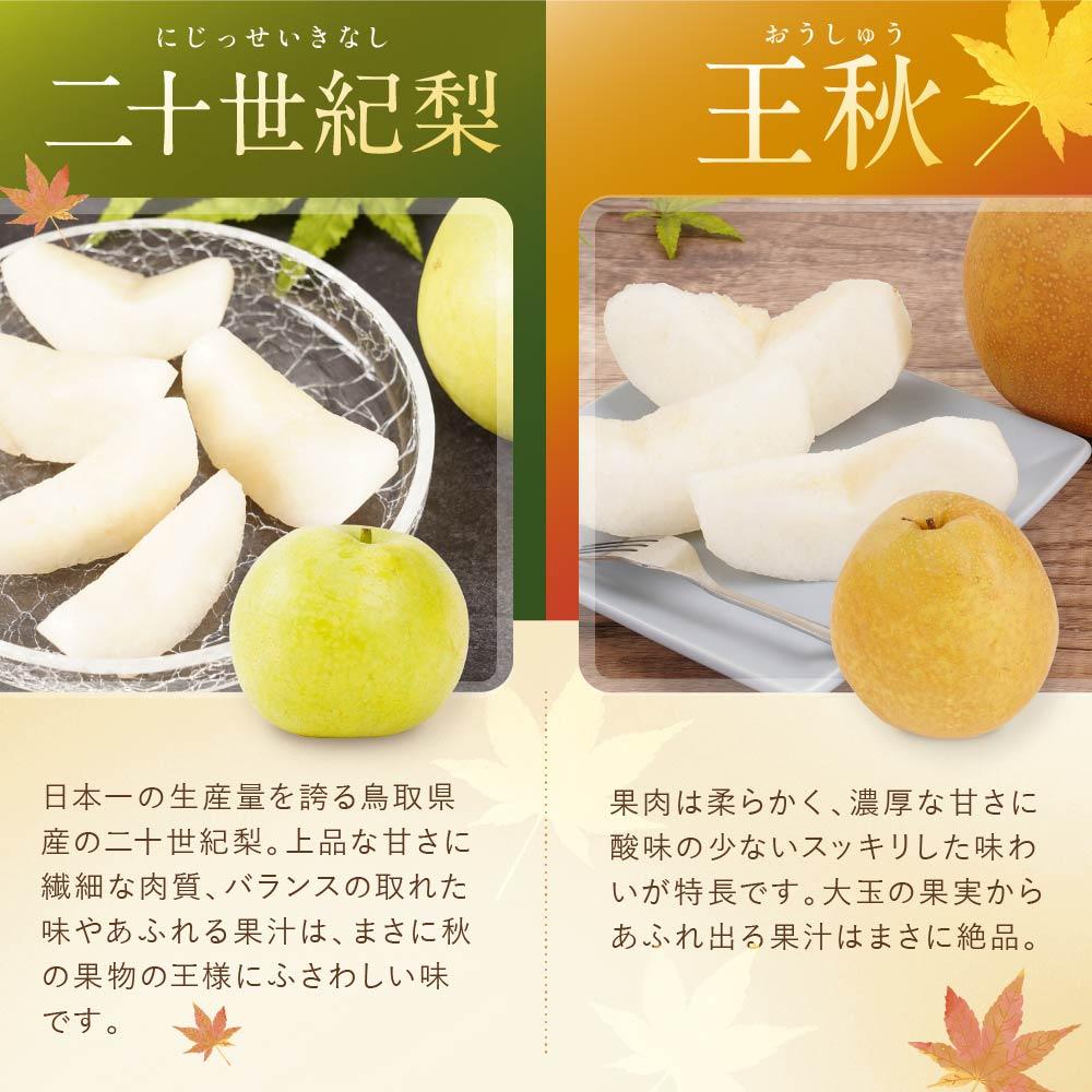 梨の食べ比べ 4種類コース 3
