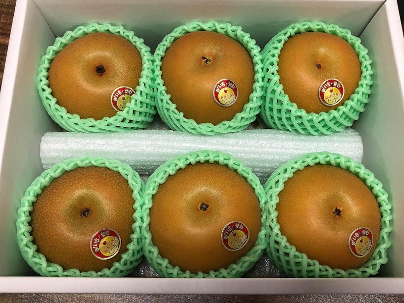 市川産 あきづき梨 1