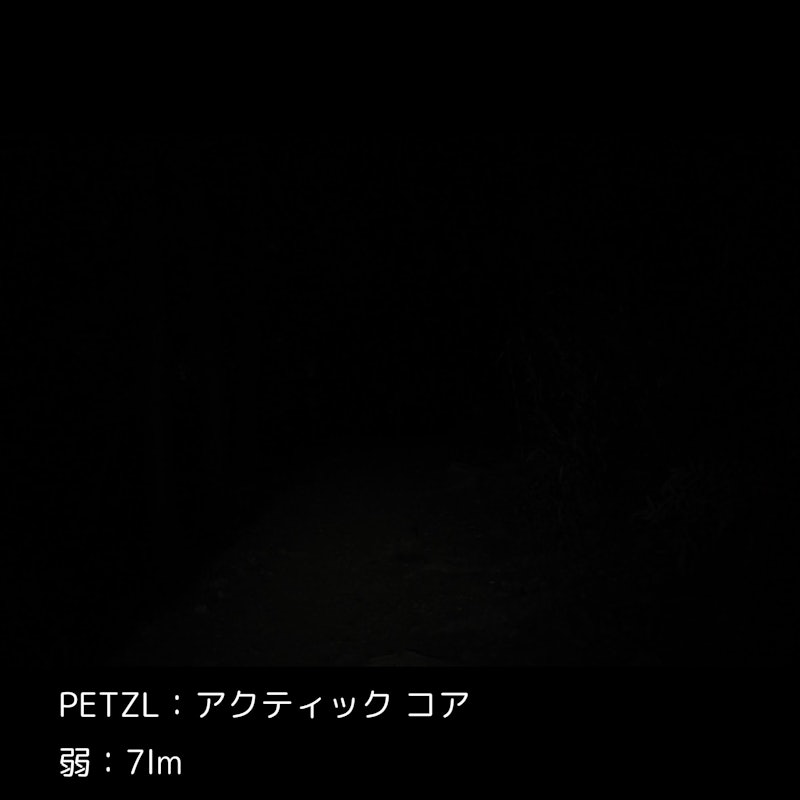 アクティック コア 4