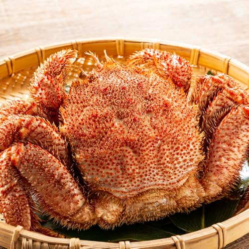 北海道産 毛蟹 1