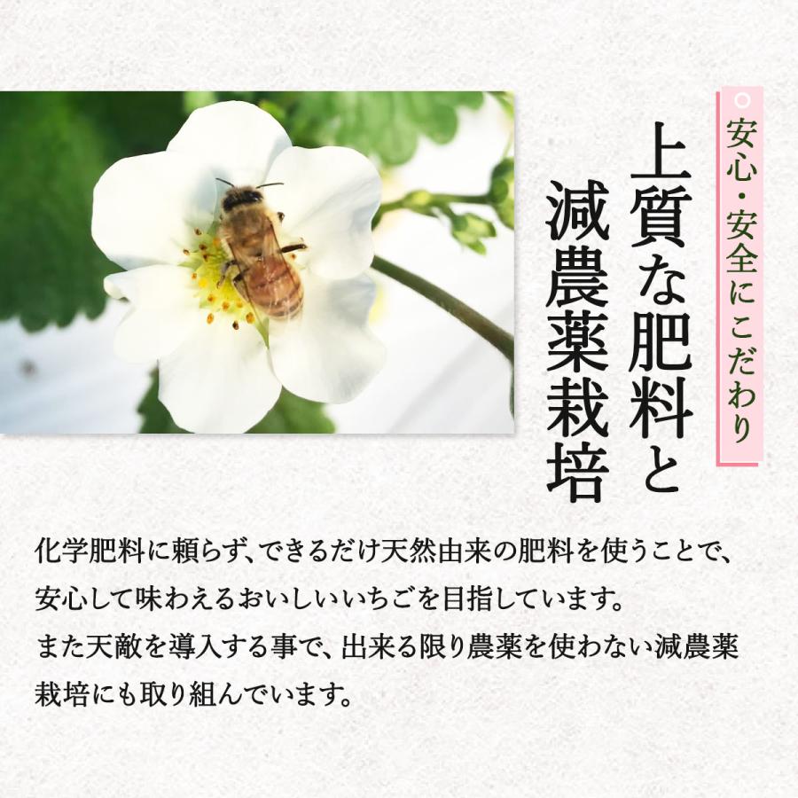 パールホワイト 8