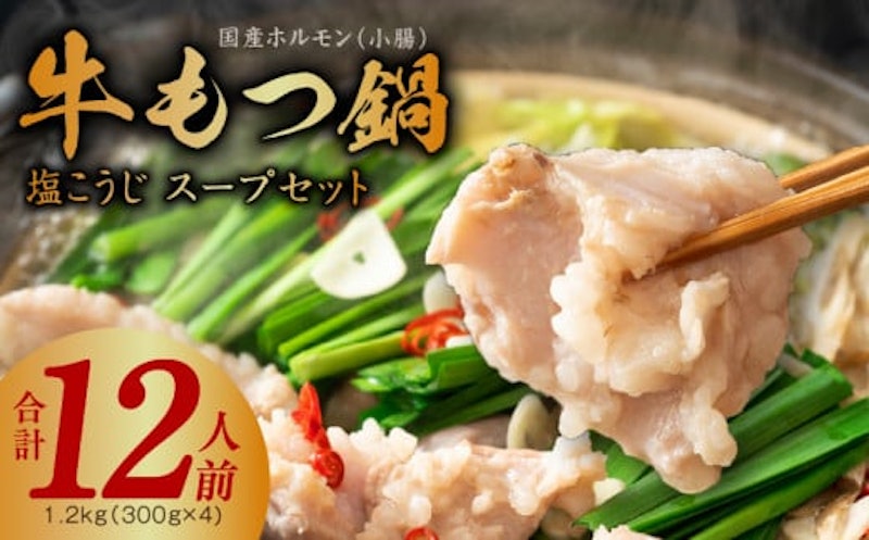 牛もつ鍋セット 約12人前 1