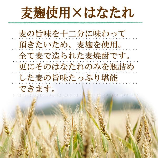 魔女の悪戯 4