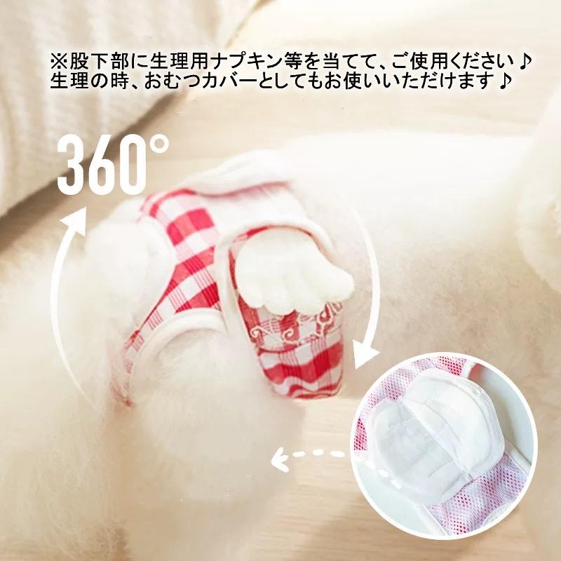 マナーパンツ 7