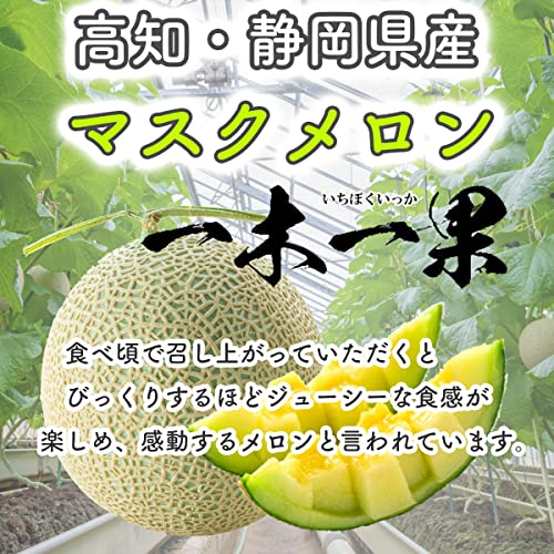 メロン 2