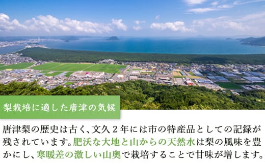今が食べ頃 特栽 旬の梨 3