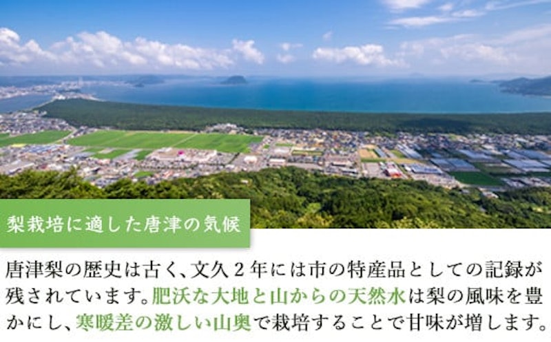 今が食べ頃 特栽 旬の梨 3