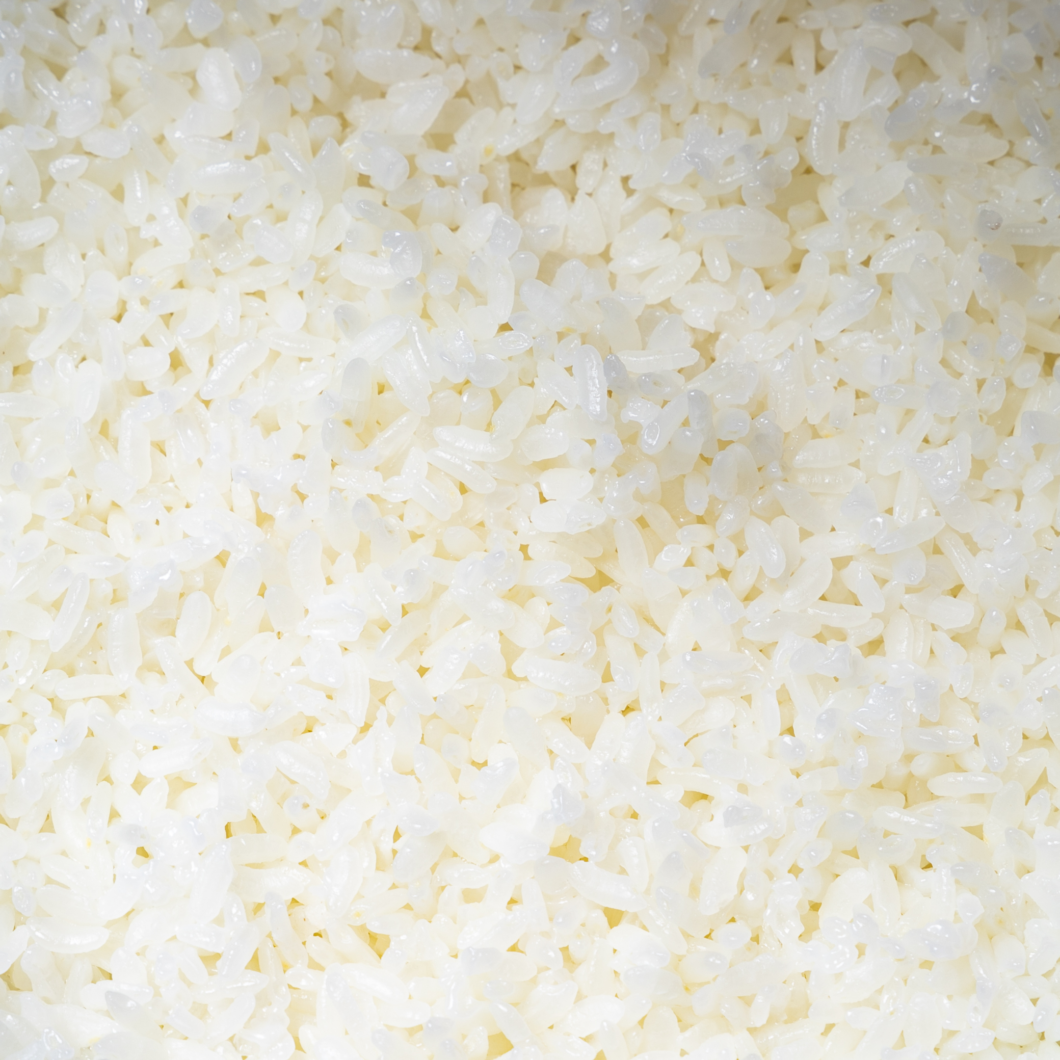 ザ・ライス 遠赤外線 IH炊飯器 9