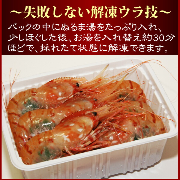 ぼたん海老 3