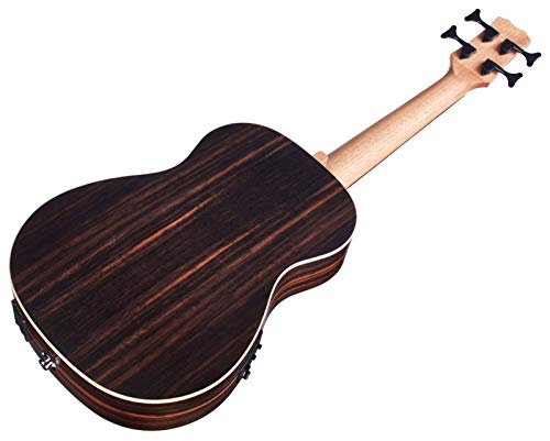 MINI II Bass  4