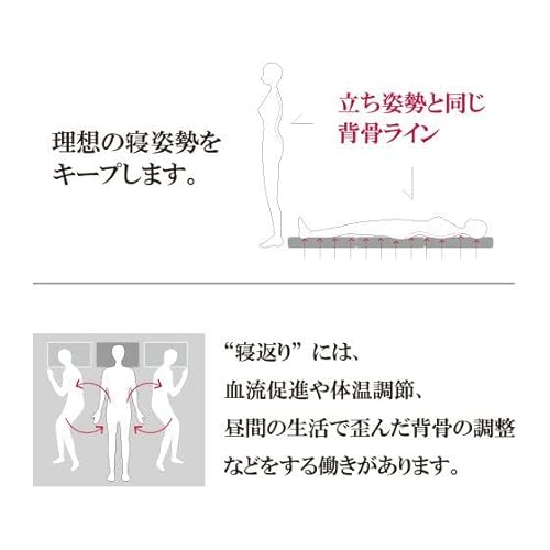 マットレス兼用敷布団 6.0 寝心地固め  4
