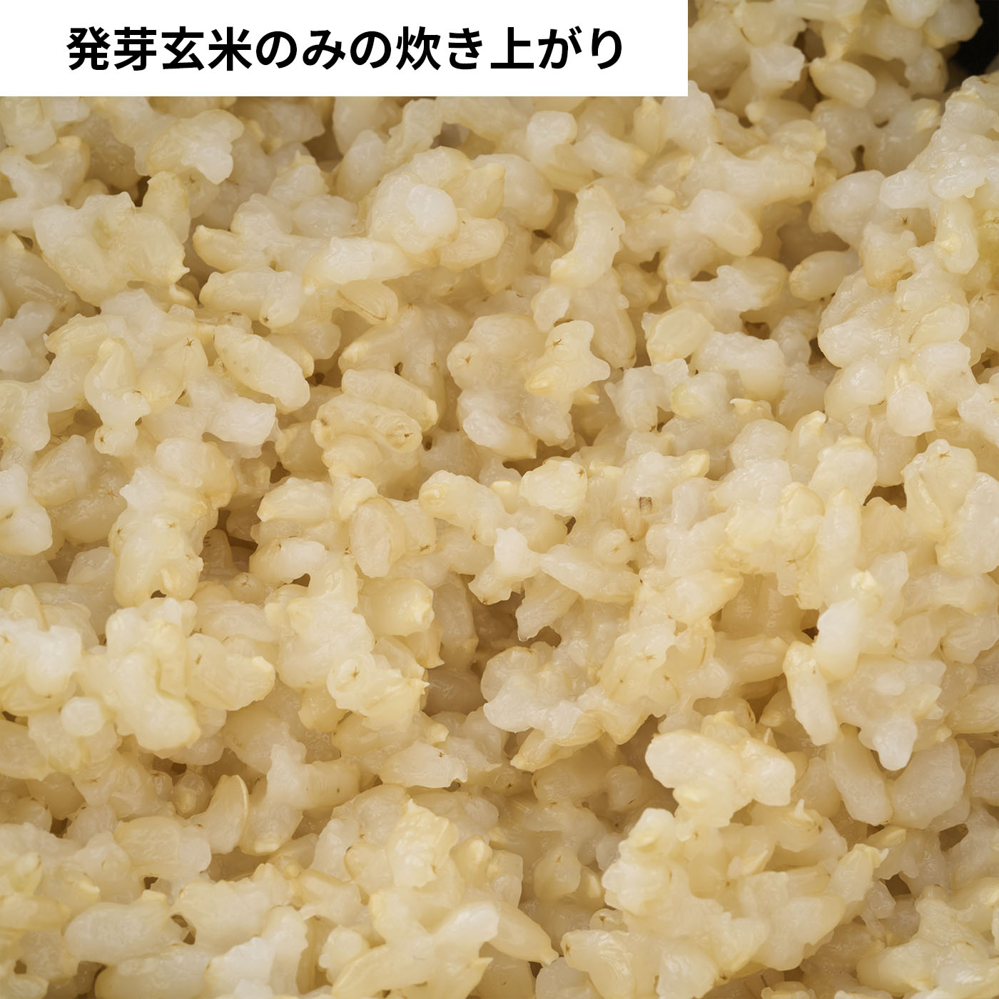 発芽玄米コシヒカリ 6