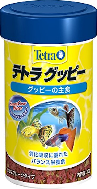 テトラ グッピー 1