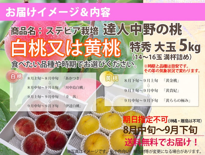 中野さんの桃 4