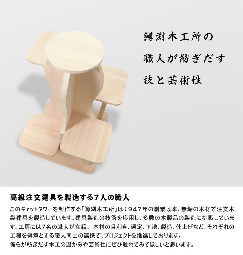 シニア用 キャットタワー サワロ 5